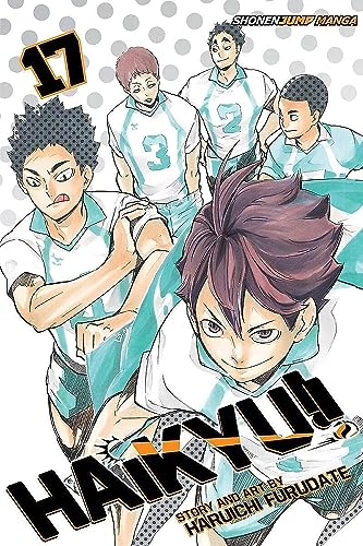 Algopix Similar Product 5 - Haikyu!!, Vol. 17 (17)