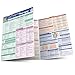 Algopix Similar Product 16 - Physical Therapy (Quick Study: Academic)