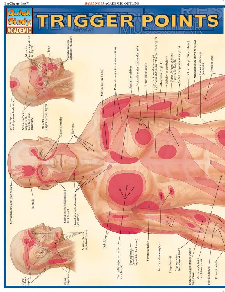 Algopix Similar Product 16 - Trigger Points QuickStudy Laminated