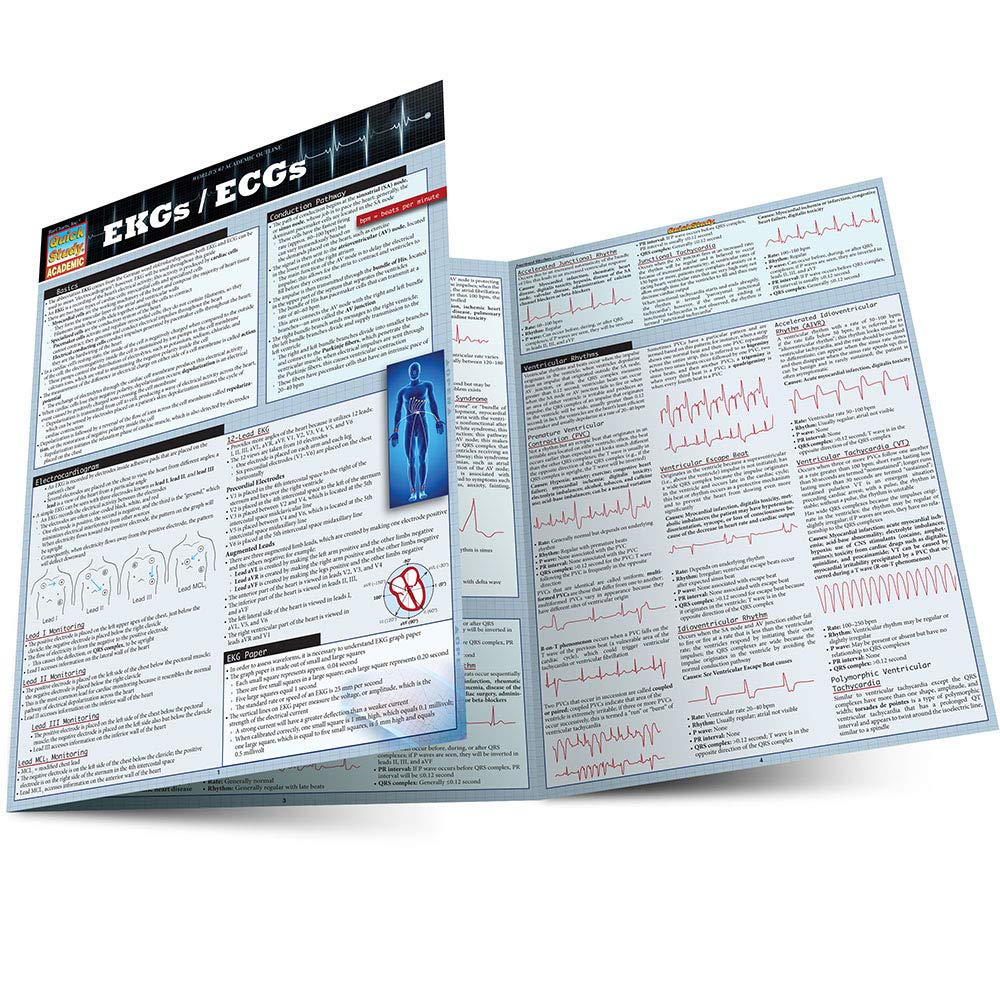 Algopix Similar Product 3 - Ekgs / Ecgs (Quick Study Academic)