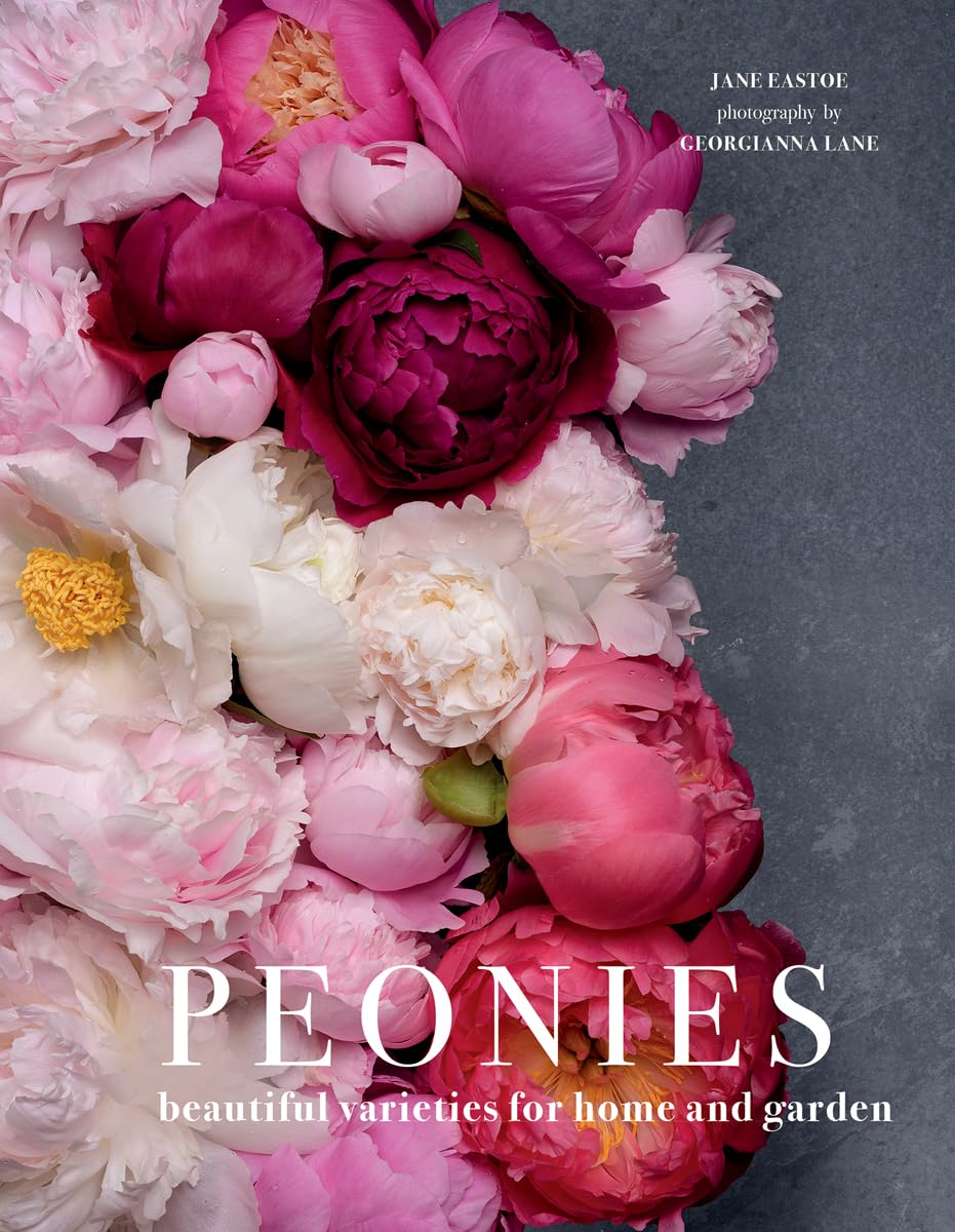 Algopix Similar Product 11 - Peonies Beautiful Varieties for Home 