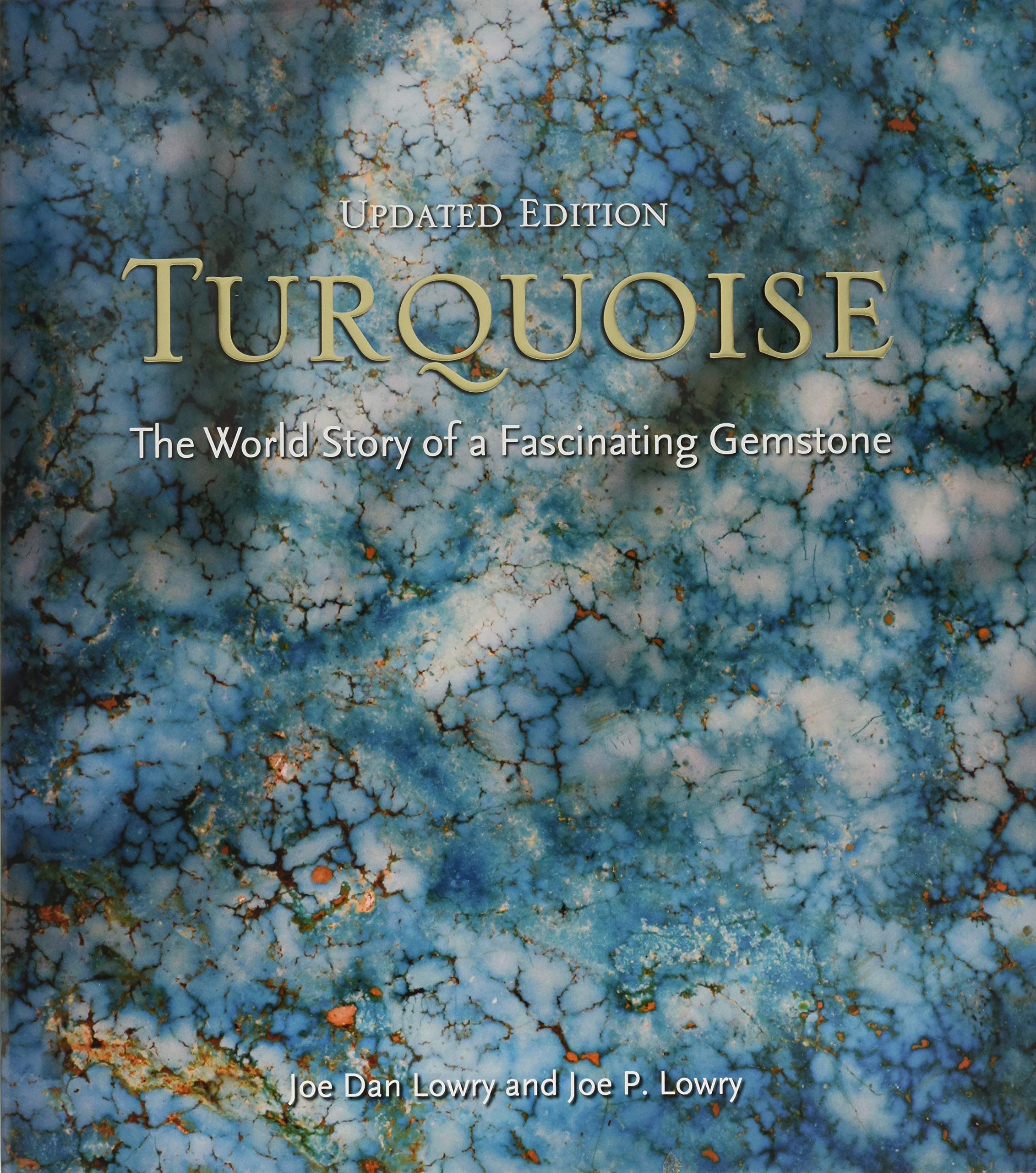 Algopix Similar Product 19 - Turquoise Updated The World Story of