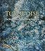 Algopix Similar Product 19 - Turquoise Updated The World Story of