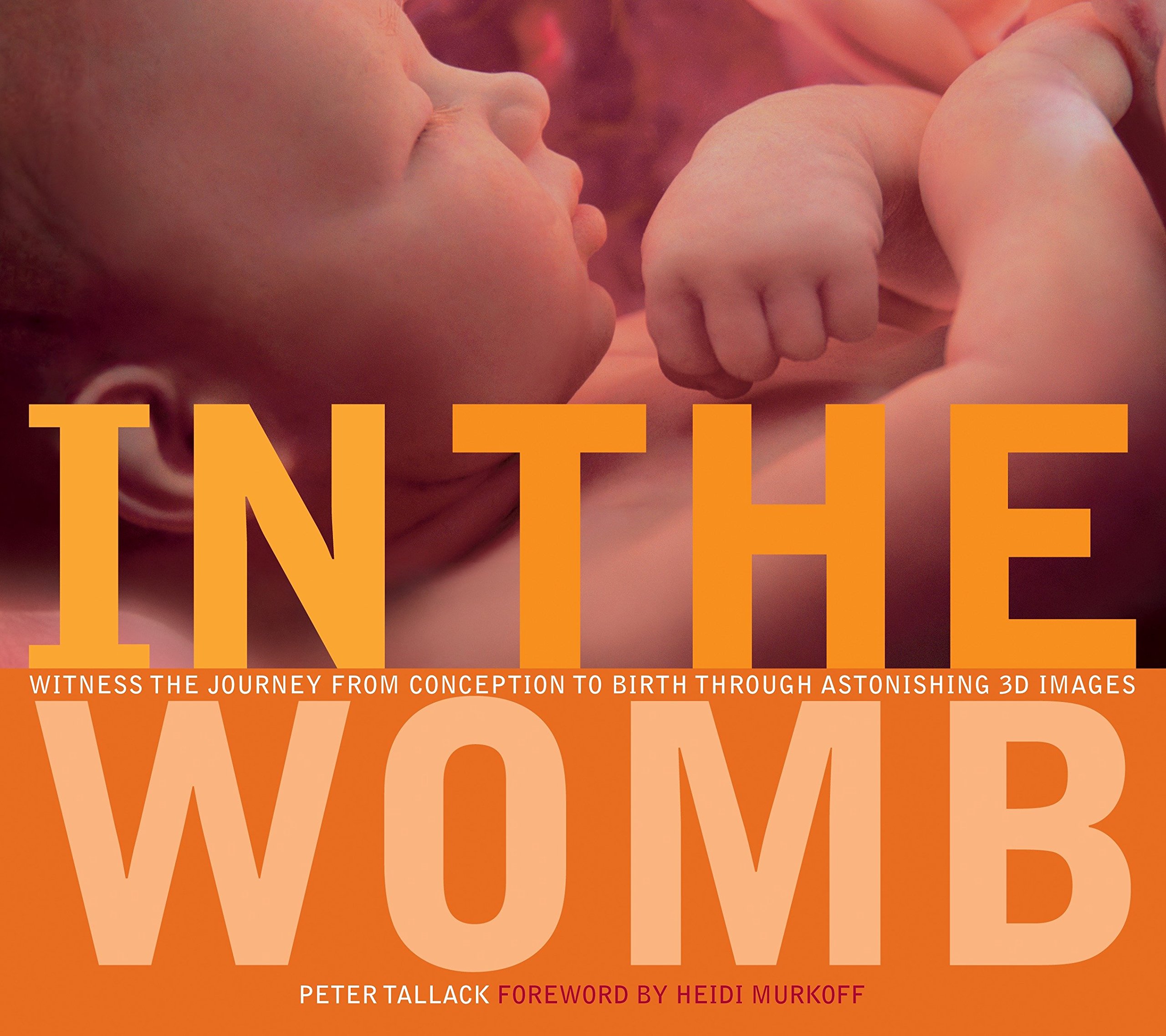 Algopix Similar Product 14 - In the Womb Witness the Journey from