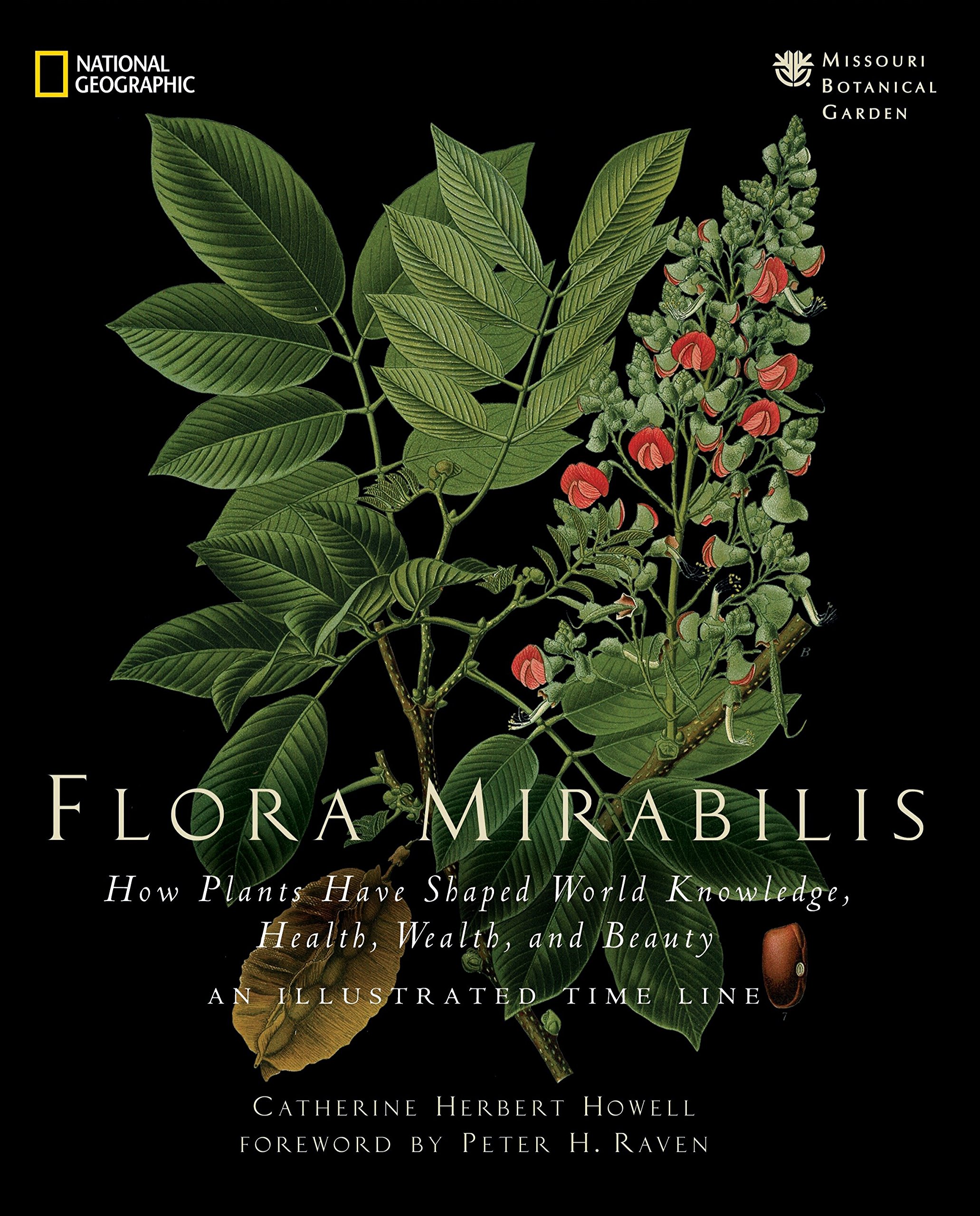 Algopix Similar Product 19 - Flora Mirabilis How Plants Have Shaped