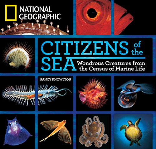 Algopix Similar Product 16 - Citizens of the Sea Wondrous Creatures