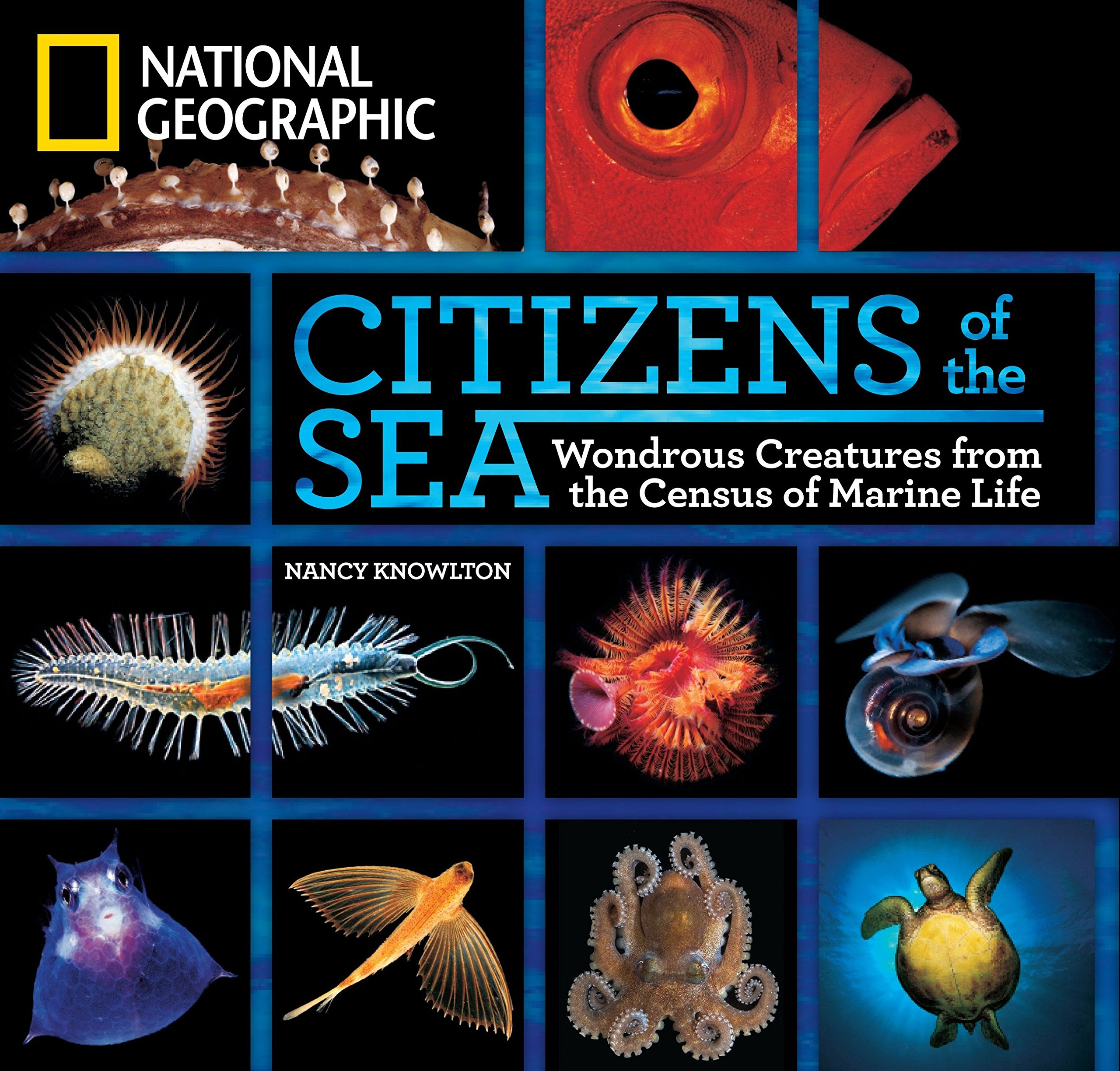 Algopix Similar Product 15 - Citizens of the Sea Wondrous Creatures
