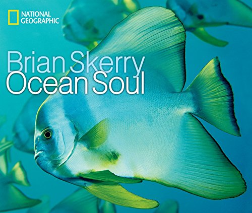 Algopix Similar Product 2 - Ocean Soul