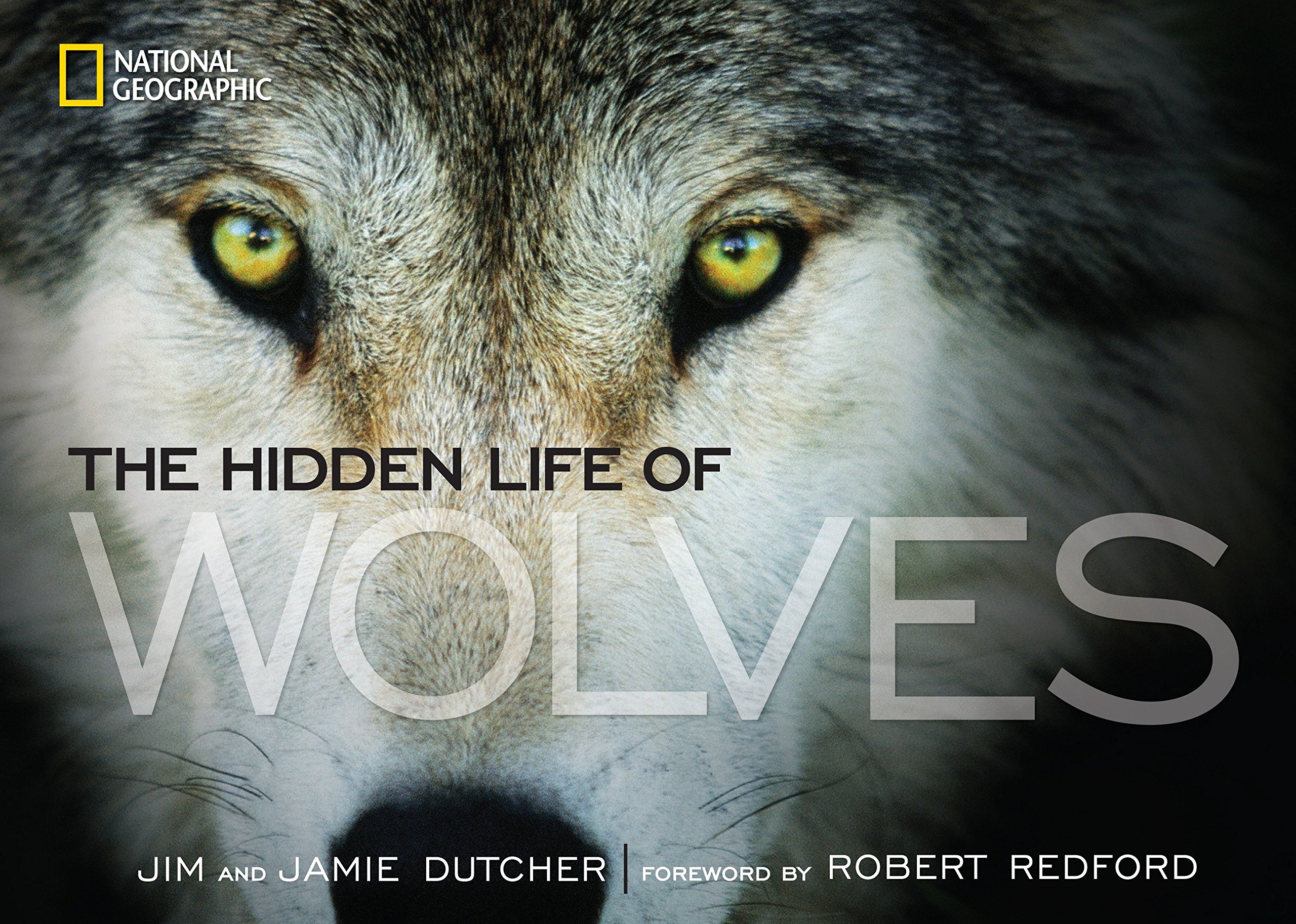 Algopix Similar Product 13 - Hidden Life of Wolves, The