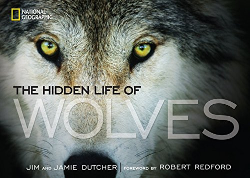 Algopix Similar Product 16 - Hidden Life of Wolves, The