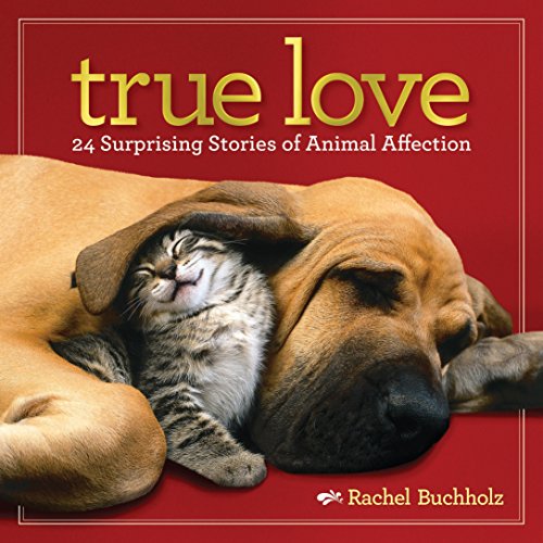 Algopix Similar Product 3 - True Love 24 Surprising Stories of