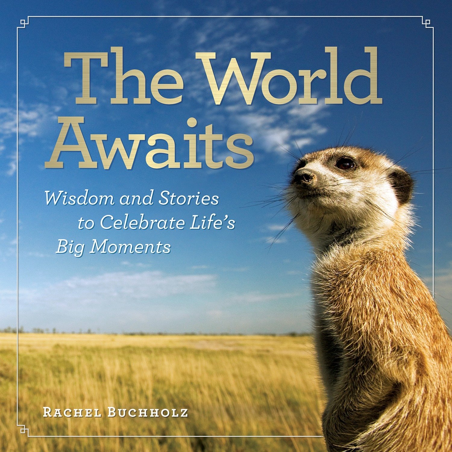 Algopix Similar Product 17 - The World Awaits Wisdom and Stories to