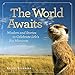 Algopix Similar Product 13 - The World Awaits Wisdom and Stories to