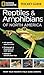 Algopix Similar Product 2 - National Geographic Pocket Guide to