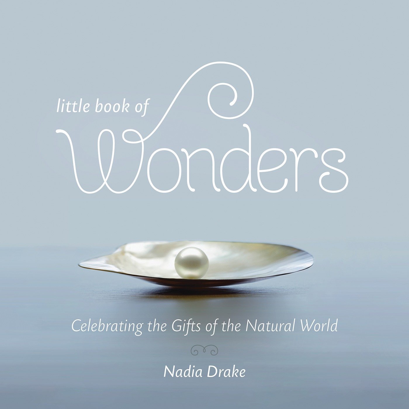 Algopix Similar Product 20 - Little Book of Wonders Celebrating the
