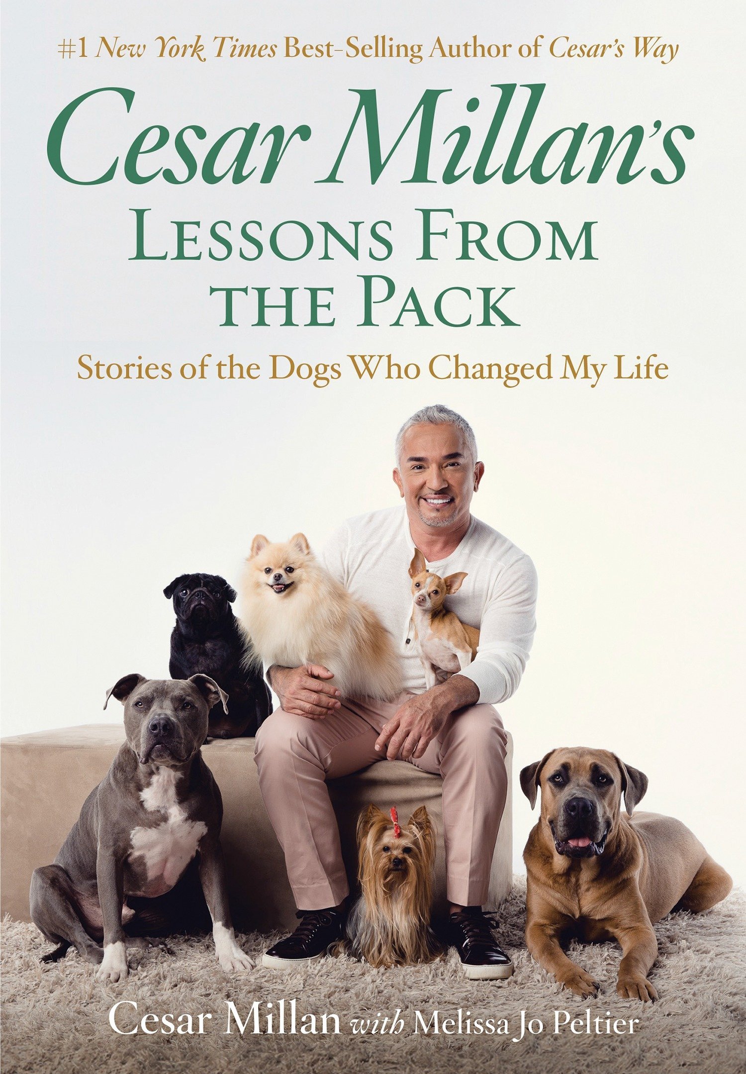 Algopix Similar Product 6 - Cesar Millans Lessons From the Pack