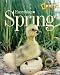 Algopix Similar Product 6 - Everything Spring (Picture the Seasons)