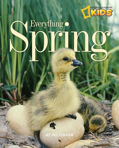 Algopix Similar Product 3 - Everything Spring (Picture the Seasons)