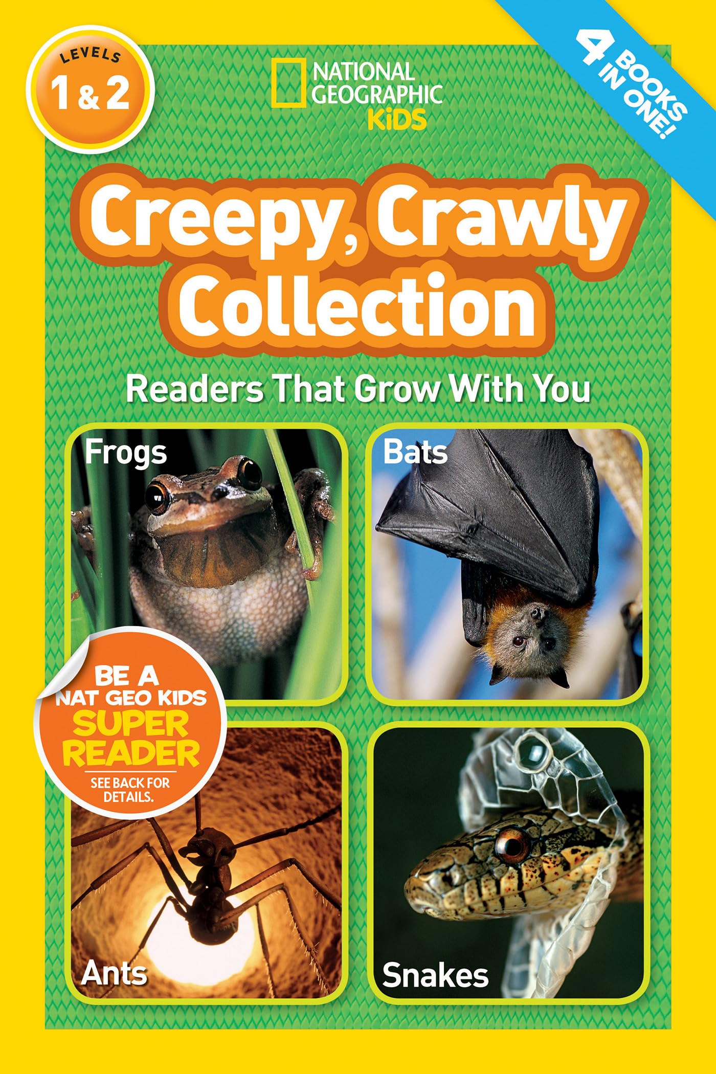 Algopix Similar Product 17 - Creepy Crawly Collection National