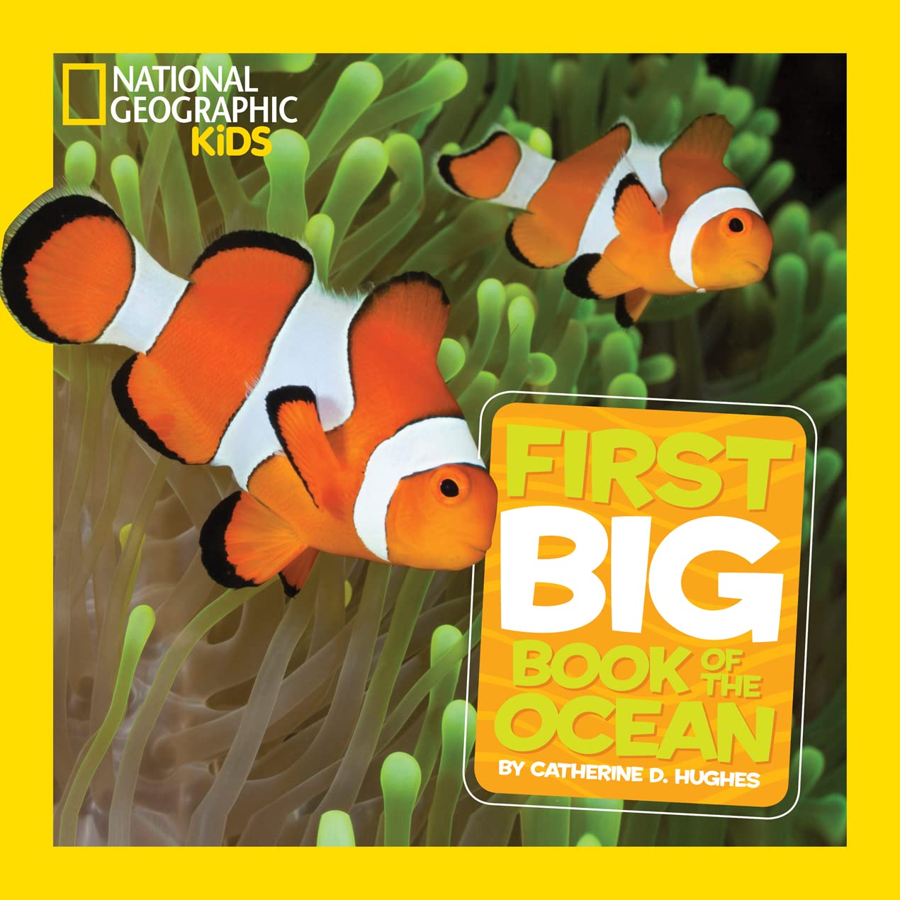 Algopix Similar Product 15 - National Geographic Little Kids First