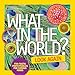 Algopix Similar Product 9 - What in the World Look Again