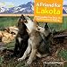 Algopix Similar Product 6 - A Friend for Lakota The Incredible