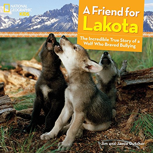 Algopix Similar Product 8 - A Friend for Lakota The Incredible