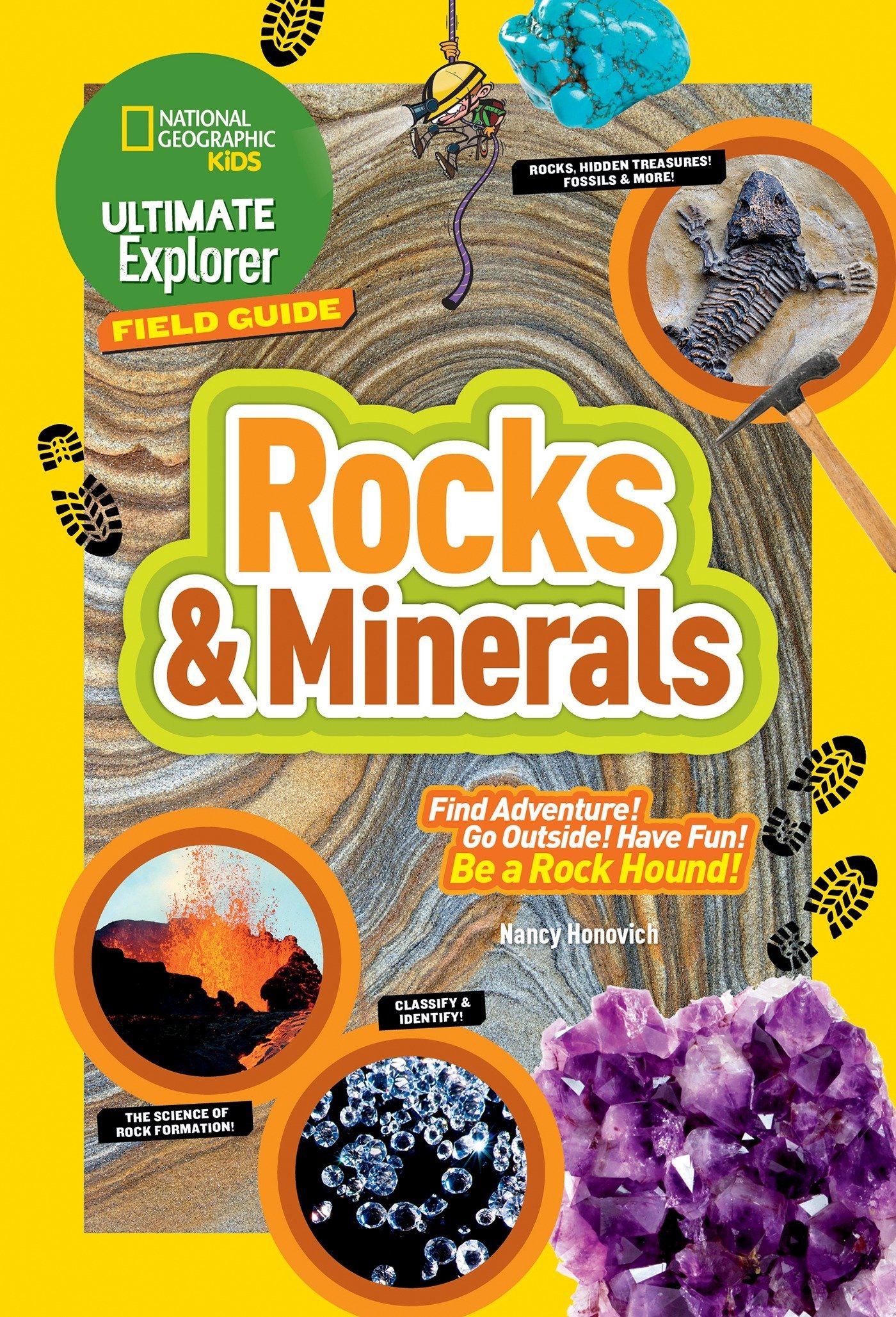 Algopix Similar Product 7 - Ultimate Explorer Field Guide Rocks