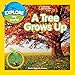 Algopix Similar Product 16 - Explore My World A Tree Grows Up