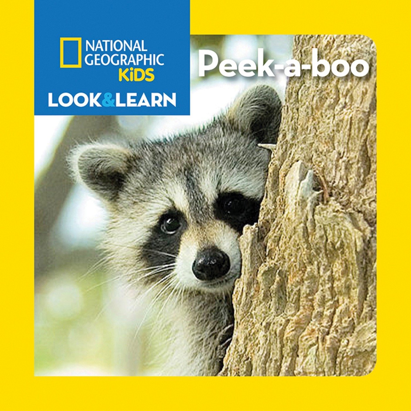 Algopix Similar Product 19 - National Geographic Kids Look and