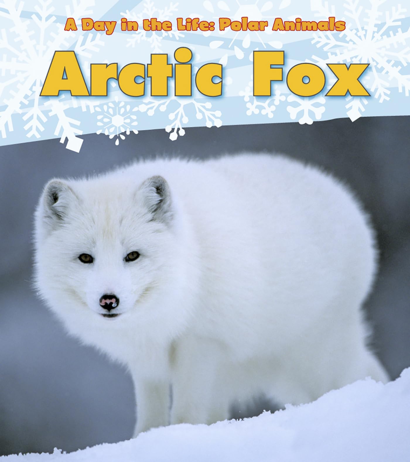 Algopix Similar Product 6 - Arctic Fox A Day in the Life Polar