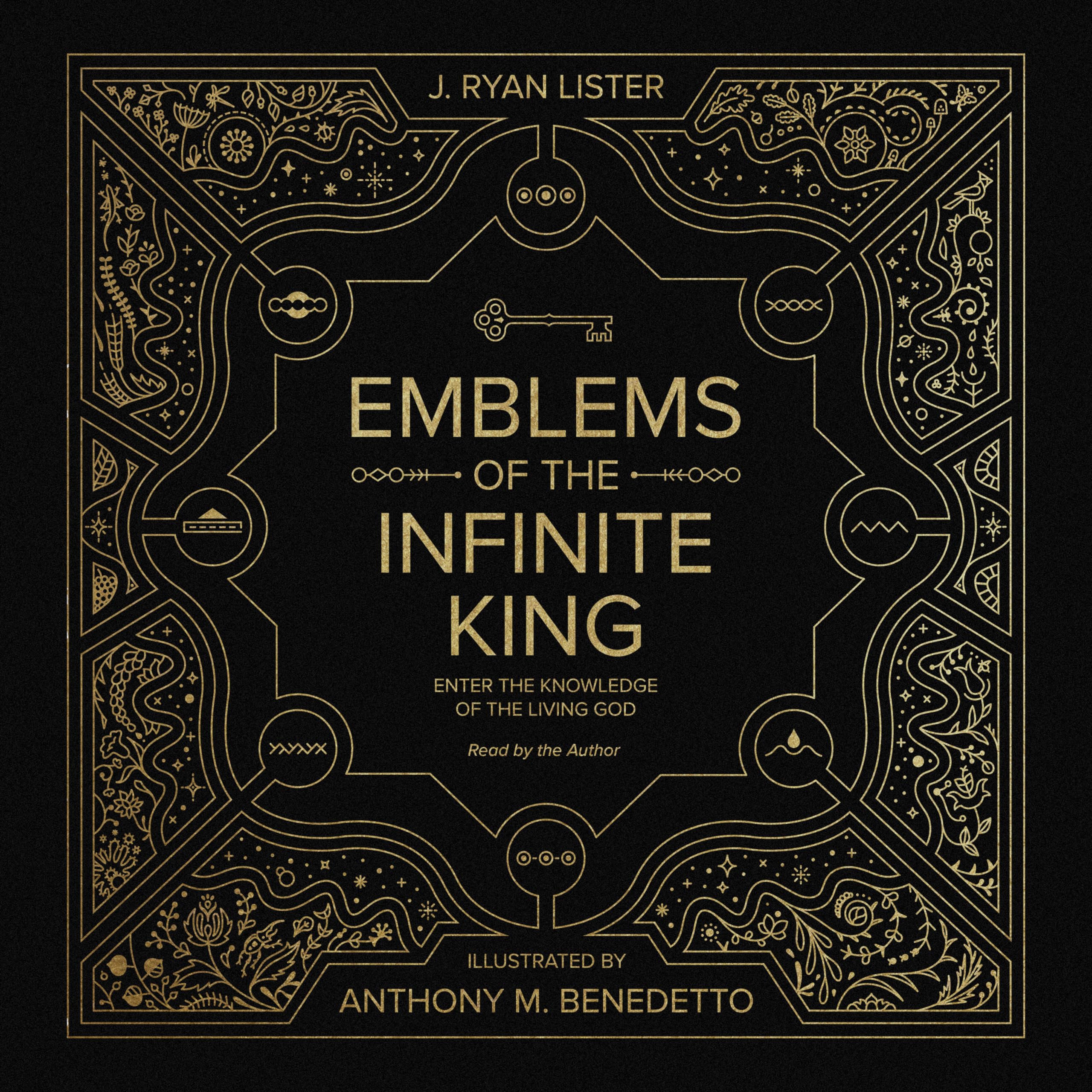 Algopix Similar Product 19 - Emblems of the Infinite King Enter the