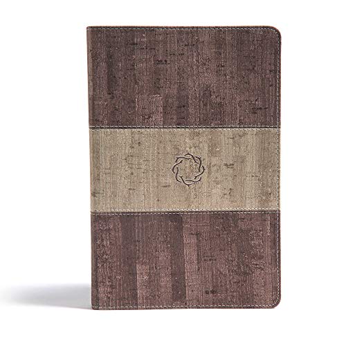Algopix Similar Product 8 - CSB Essential Teen Study Bible