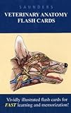 Algopix Similar Product 16 - Saunders Veterinary Anatomy Flash Cards