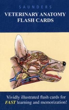 Algopix Similar Product 6 - Saunders Veterinary Anatomy Flash Cards