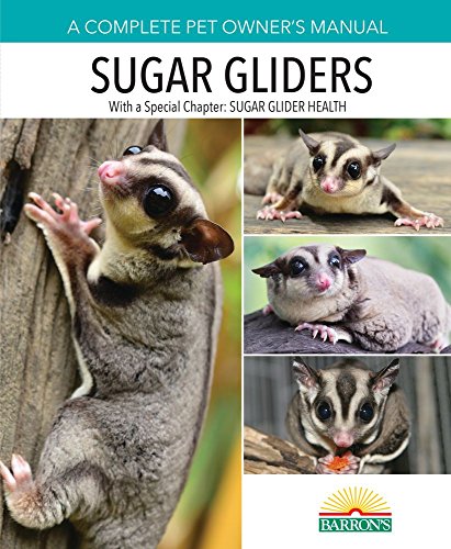 Algopix Similar Product 10 - Sugar Gliders Complete Pet Owners