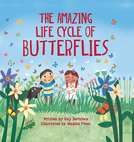 Algopix Similar Product 4 - The Amazing Life Cycle of Butterflies