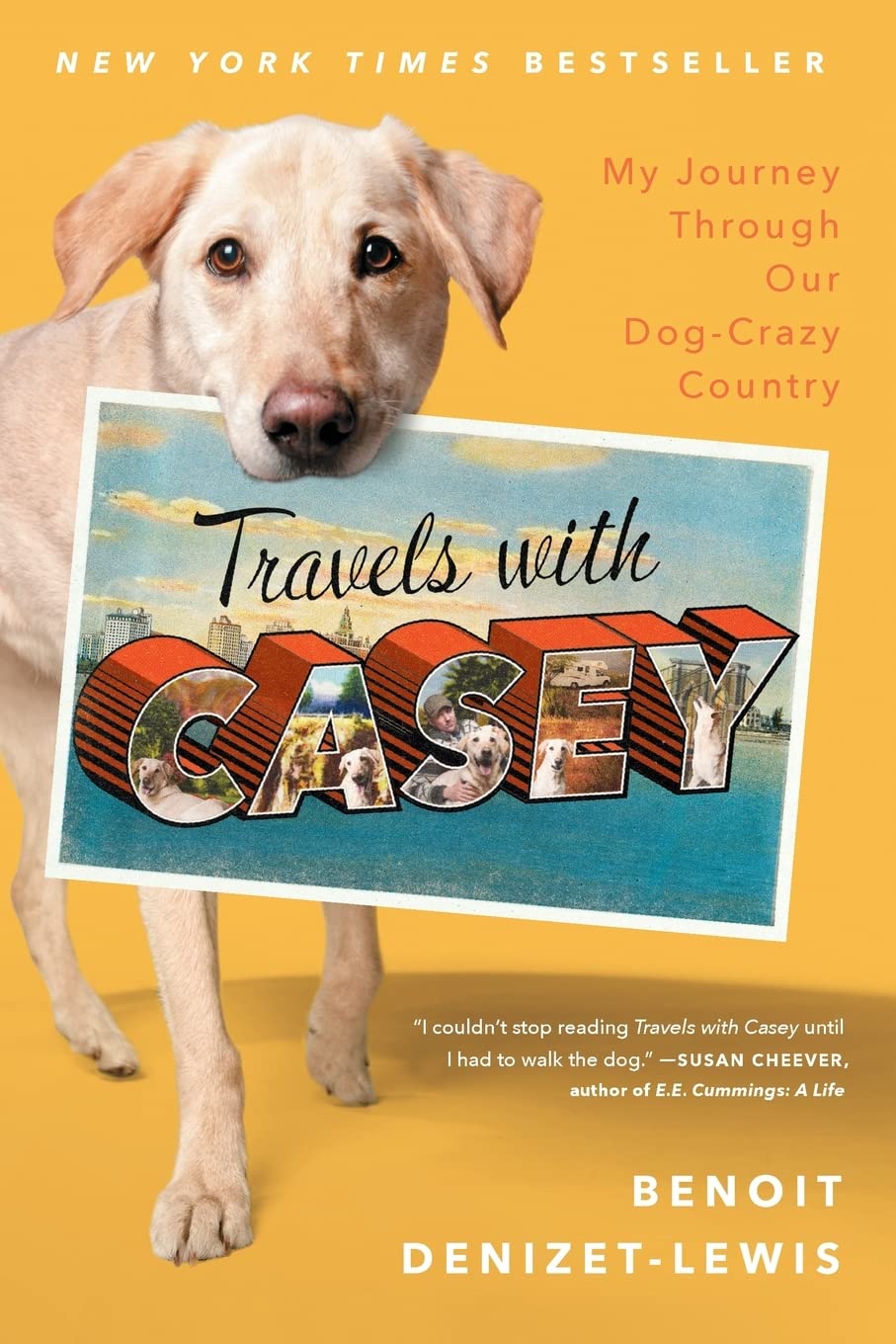 Algopix Similar Product 5 - Travels With Casey