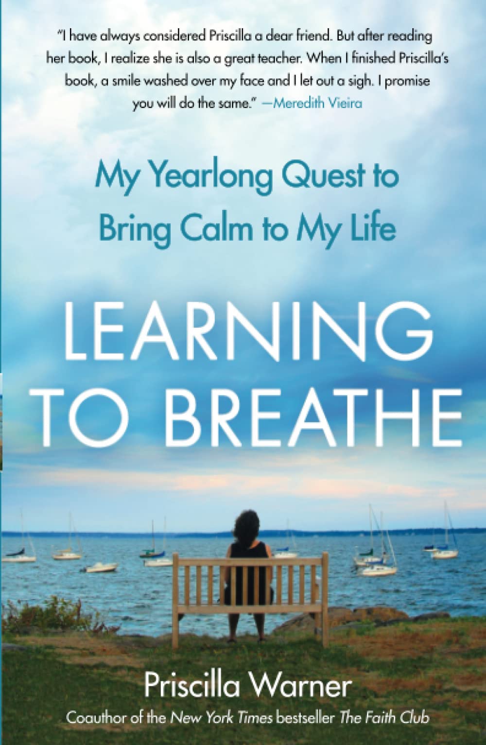 Algopix Similar Product 19 - Learning to Breathe My Yearlong Quest