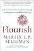 Algopix Similar Product 2 - Flourish A Visionary New Understanding