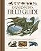 Algopix Similar Product 9 - Dracopedia Field Guide Dragons of the