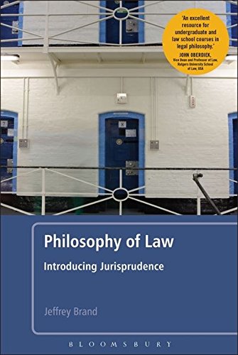 Algopix Similar Product 11 - Philosophy of Law Introducing