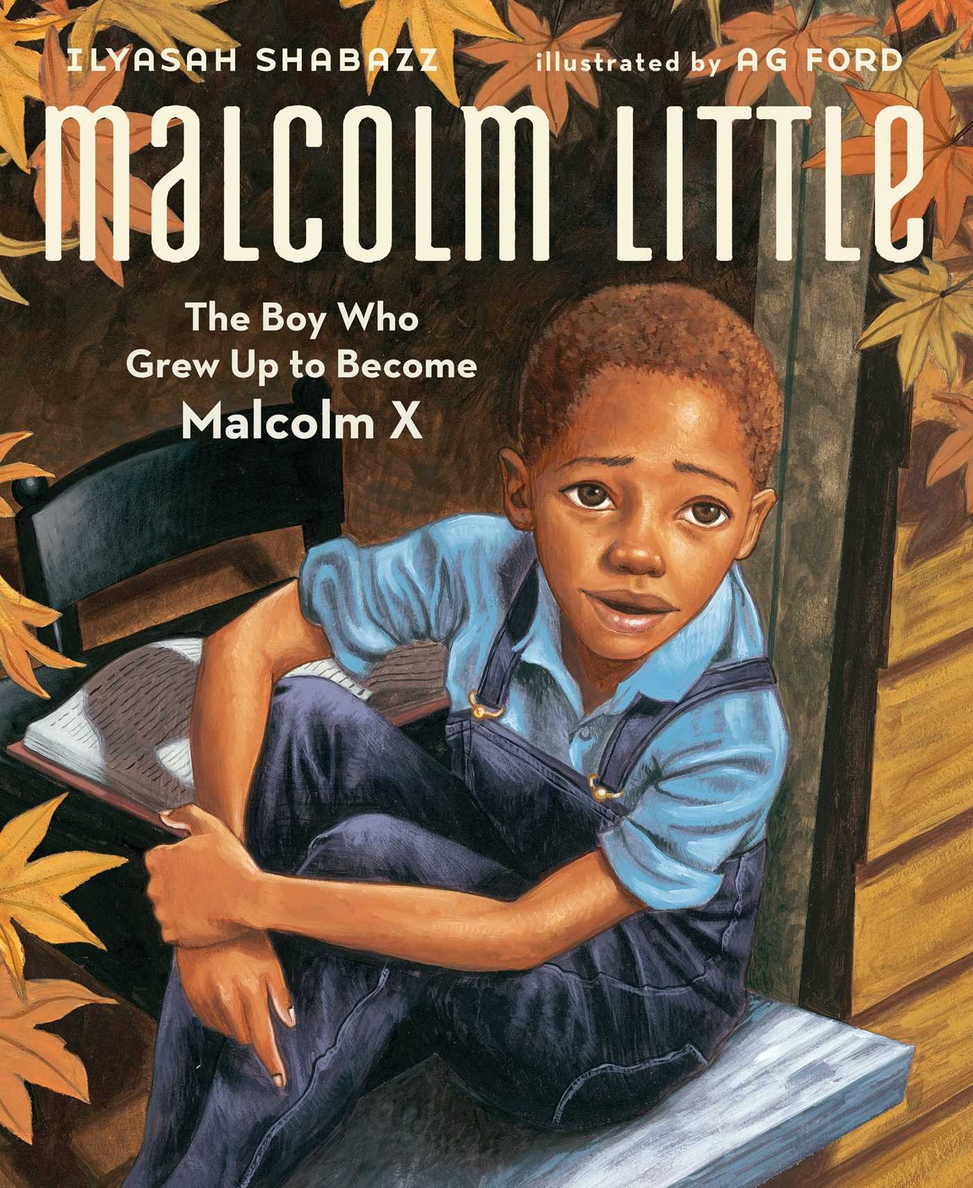 Algopix Similar Product 19 - Malcolm Little The Boy Who Grew Up to