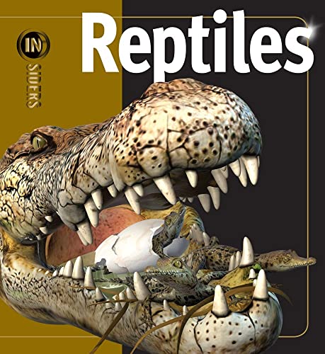 Algopix Similar Product 9 - Reptiles (Insiders)