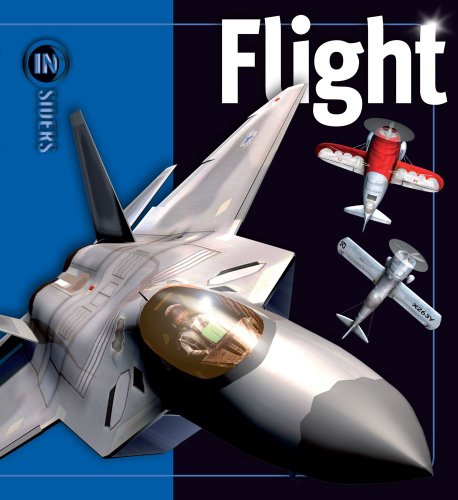 Algopix Similar Product 10 - Flight (Insiders)