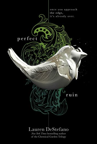 Algopix Similar Product 11 - Perfect Ruin 1 The Internment