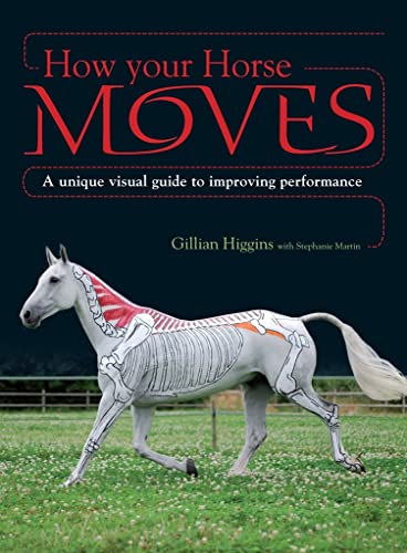 Algopix Similar Product 15 - How Your Horse Moves A unique visual