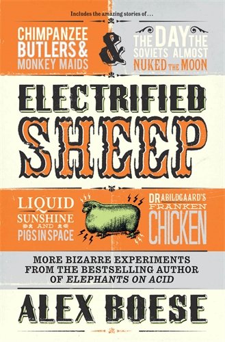 Algopix Similar Product 3 - Electrified Sheep Paperback Jan 01