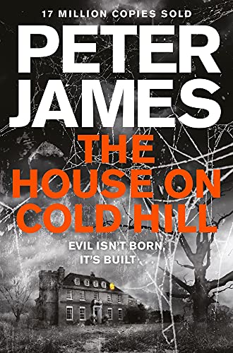 Algopix Similar Product 20 - The House on Cold Hill