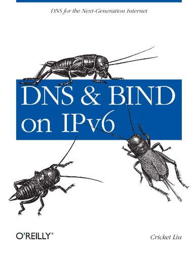 Algopix Similar Product 15 - DNS and BIND on IPv6 DNS for the